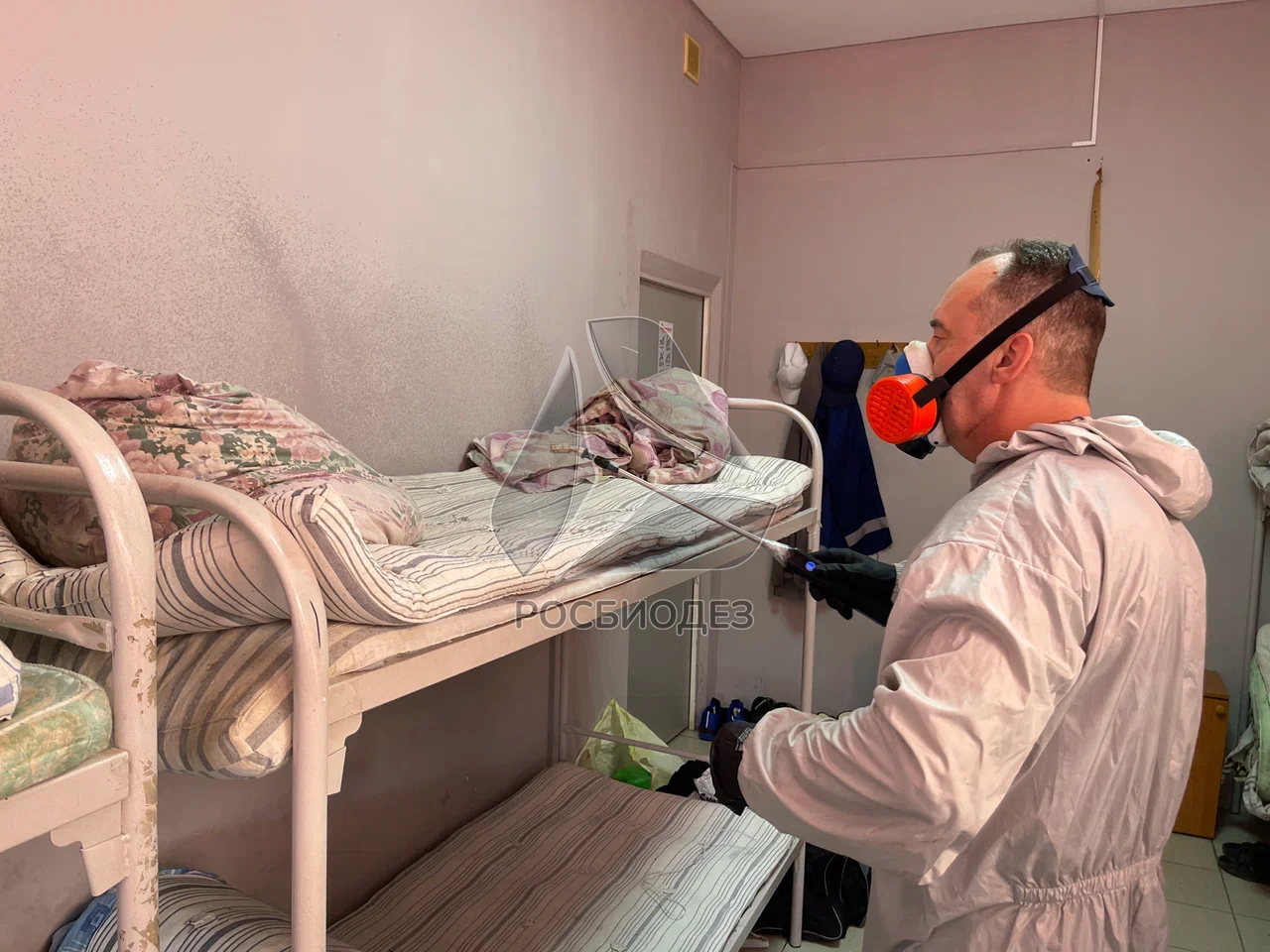 Дезинсектор обрабатывает кровати от насекомых Дезинсектор обрабатывает кровати от насекомых