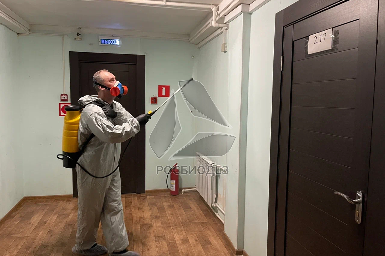 Дезинфекция подъезда Дезинфекция подъезда